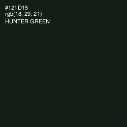 #121D15 - Hunter Green Color Image